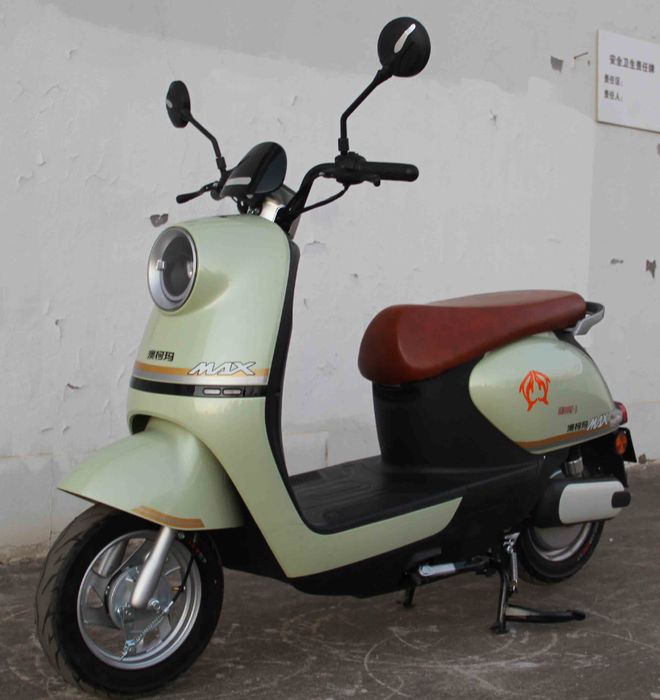 2500元预算是买大品牌电动自行车还是选择小品牌电动摩托车？(图3)