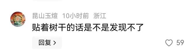 热成像技术立大功！央视网发布浙江九岁男孩走失20小时成功获救(图10)