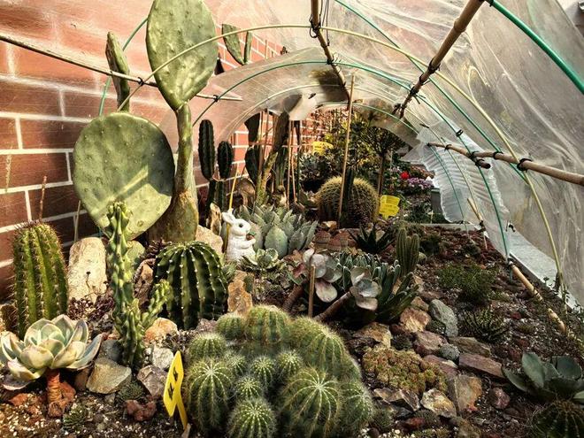 社区有“三不管”难题?这个项目专解急难愁(图3)